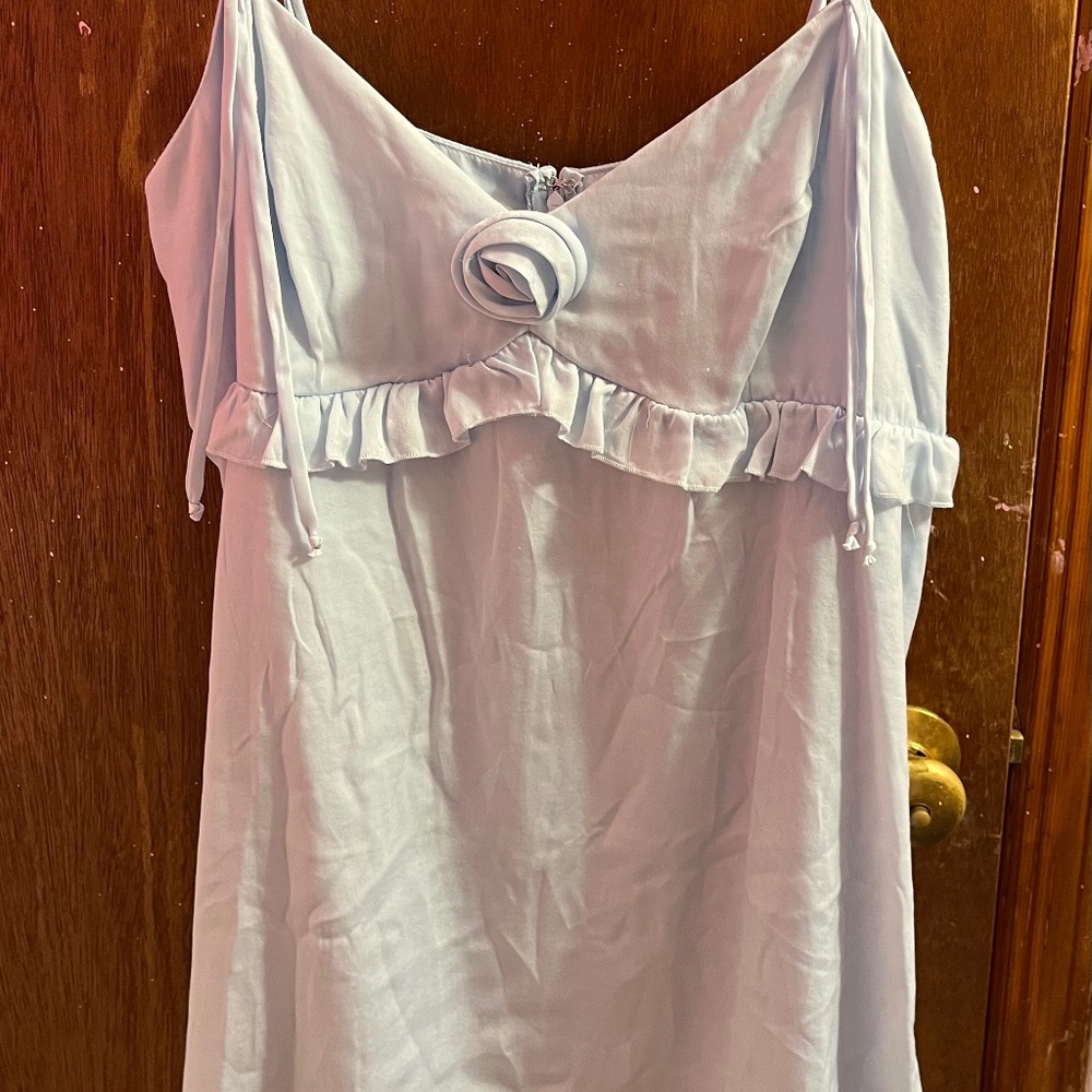 NWT Sabrina Carpenter inspired Wild Fable dress